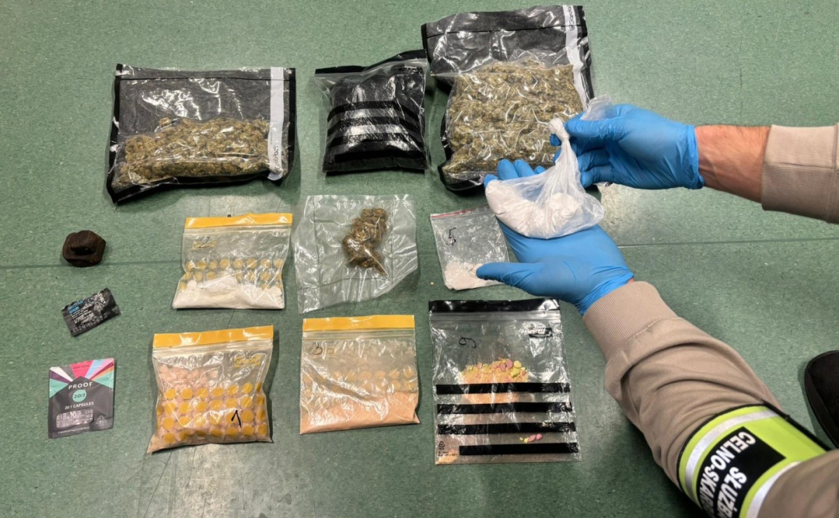 KAS kontroluje przesyłki pocztowe. W jednej z nich pies Kodi znalazł marihuanę - Serwis informacyjny z Raciborza - naszraciborz.pl