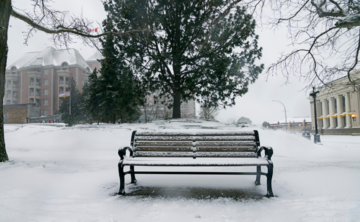 Ławki miejskie jako element małej architektury – jak wpływają na estetykę przestrzeni? - Serwis informacyjny z Raciborza - naszraciborz.pl