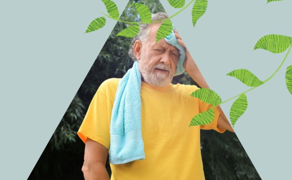 Raciborska biblioteka dla klimatu - Serwis informacyjny z Raciborza - naszraciborz.pl