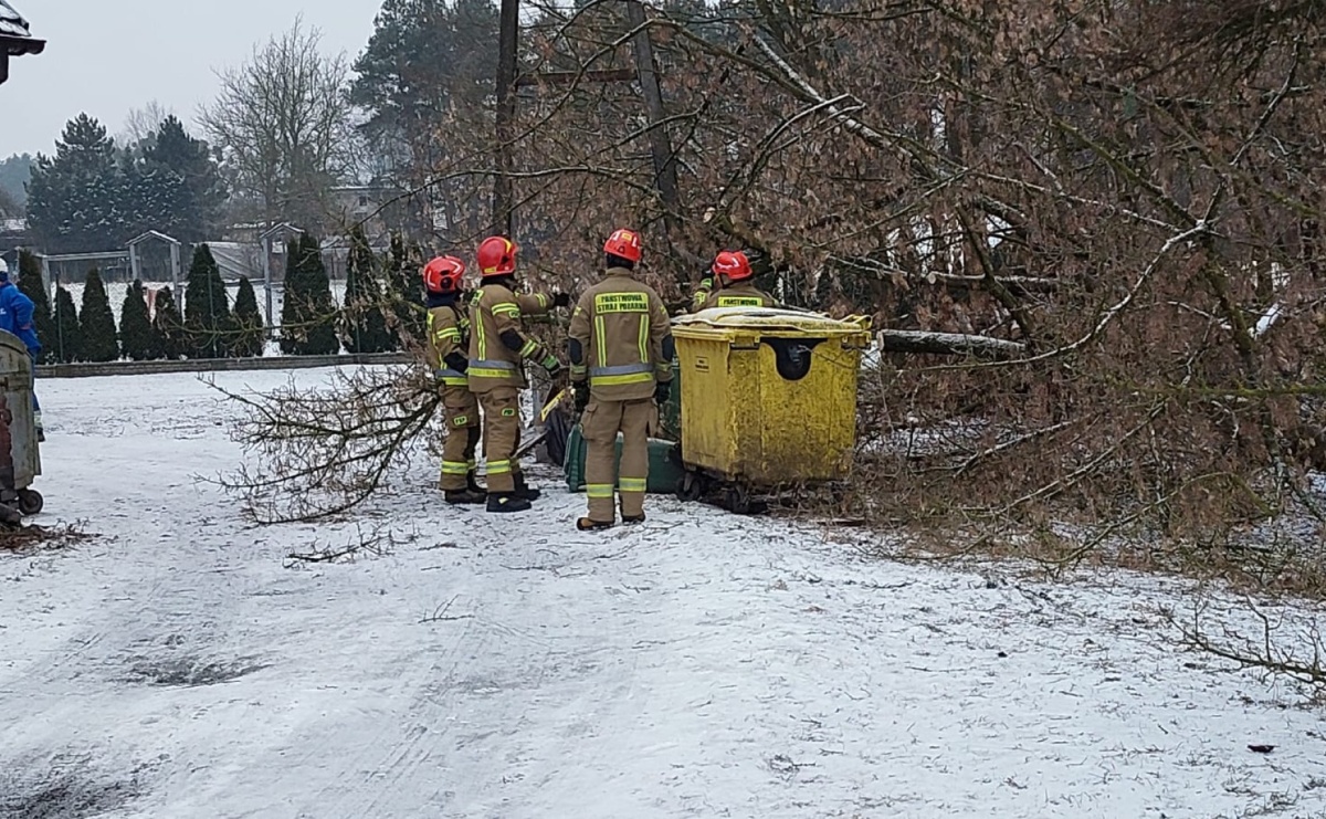 Raport 998. Dziecko w opresji przy Rybnickiej, drzewo na słupie w Rudach - Serwis informacyjny z Raciborza - naszraciborz.pl