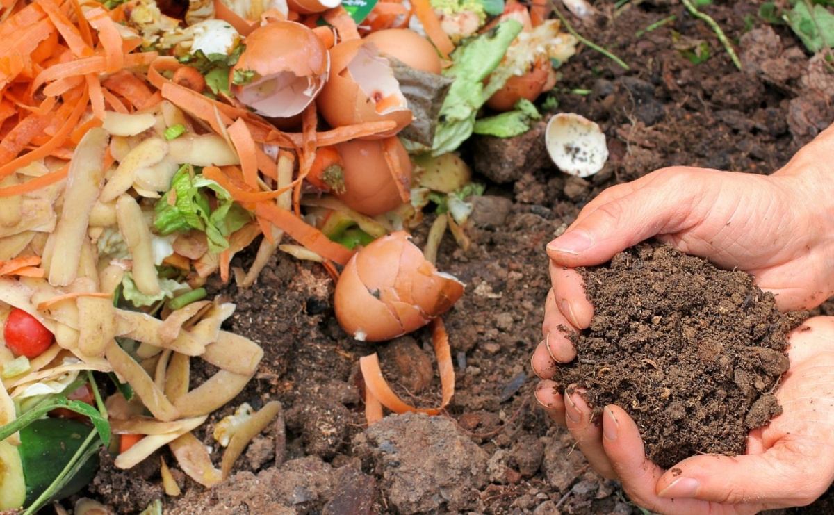 Kilka sposobów na przyspieszenie kompostowania - Serwis informacyjny z Raciborza - naszraciborz.pl