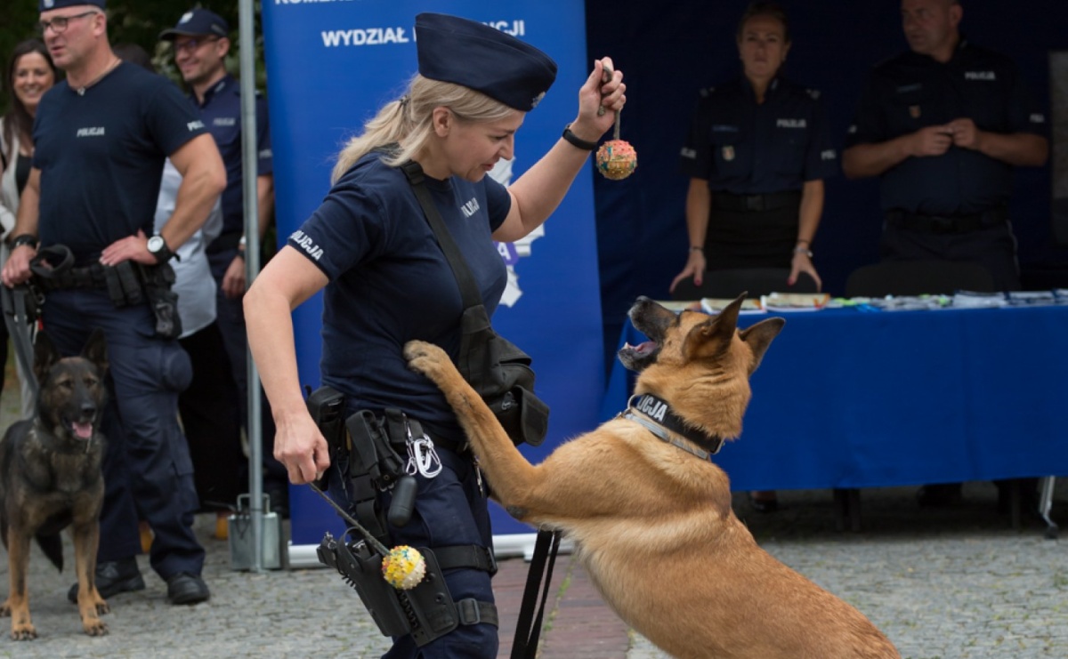 Startuje #SuperDzielnicowy 2025! - Serwis informacyjny z Raciborza - naszraciborz.pl