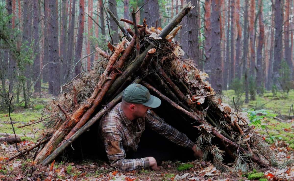 Co Zrobić, gdy Zgubisz się w Lesie? Praktyczny Poradnik Krok po Kroku - Serwis informacyjny z Raciborza - naszraciborz.pl