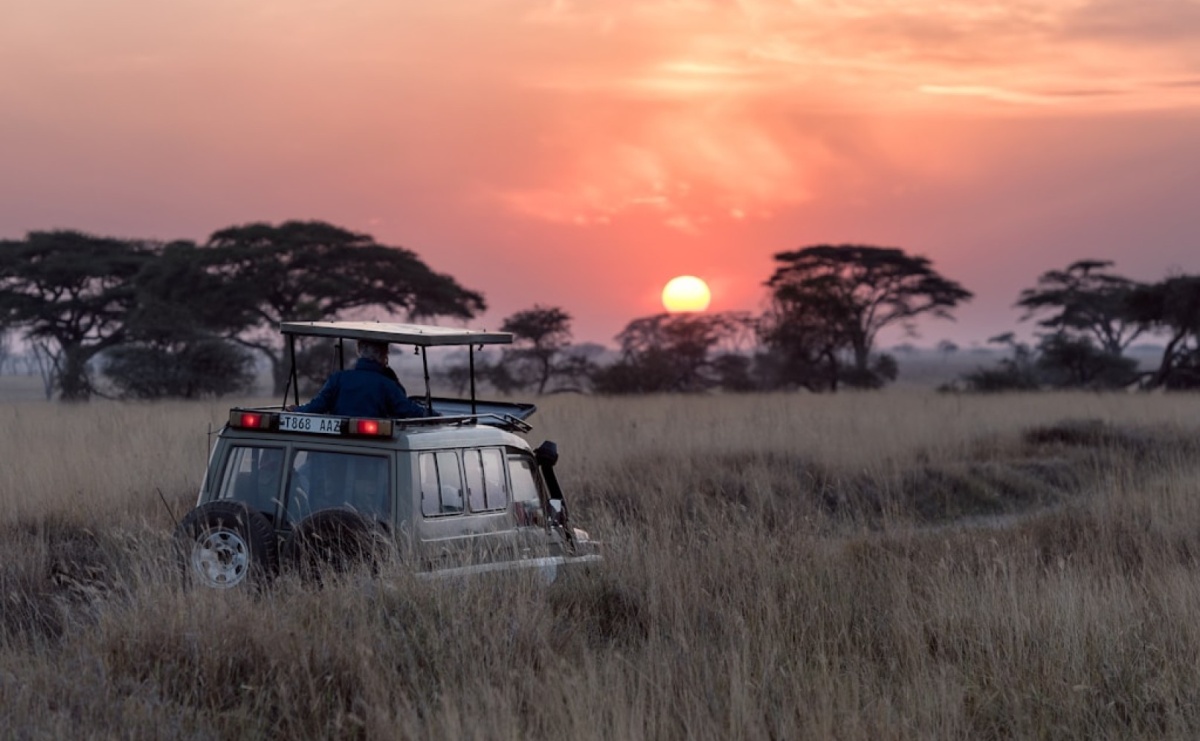 Przeżyj safari w Tanzanii oraz odkryj Tanzanię w jej najbardziej autentycznym i dzikim wydaniu