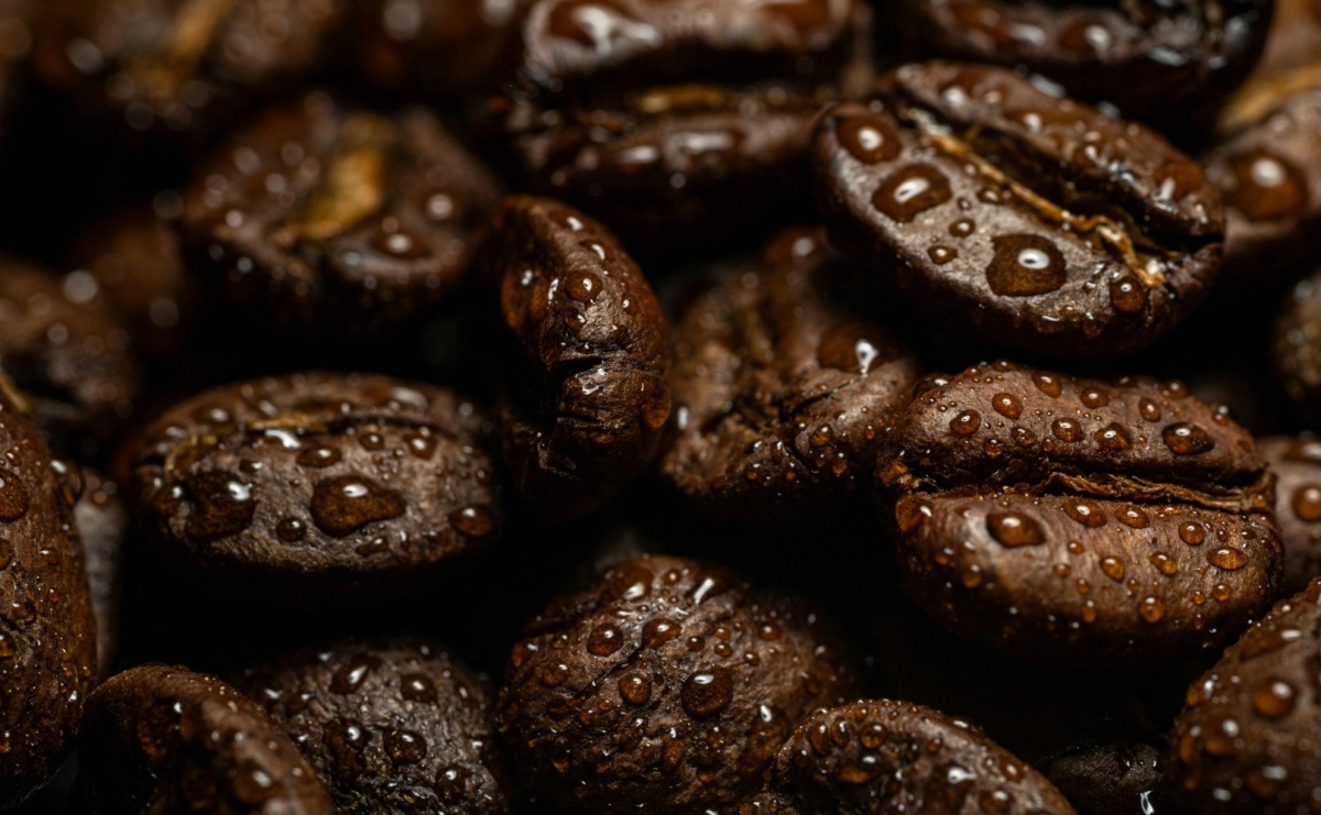 Kawa ziarnista Arabica vs. Robusta - która będzie lepsza dla Ciebie? - Serwis informacyjny z Raciborza - naszraciborz.pl