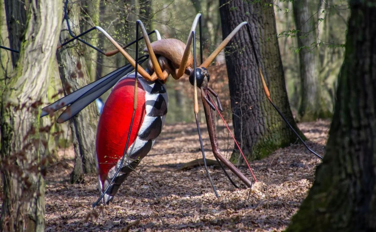 Owady w skali makro wracają do lasu Obora! Hit raciborskiego arboretum znów dostępny dla zwiedzających - Serwis informacyjny z Raciborza - naszraciborz.pl