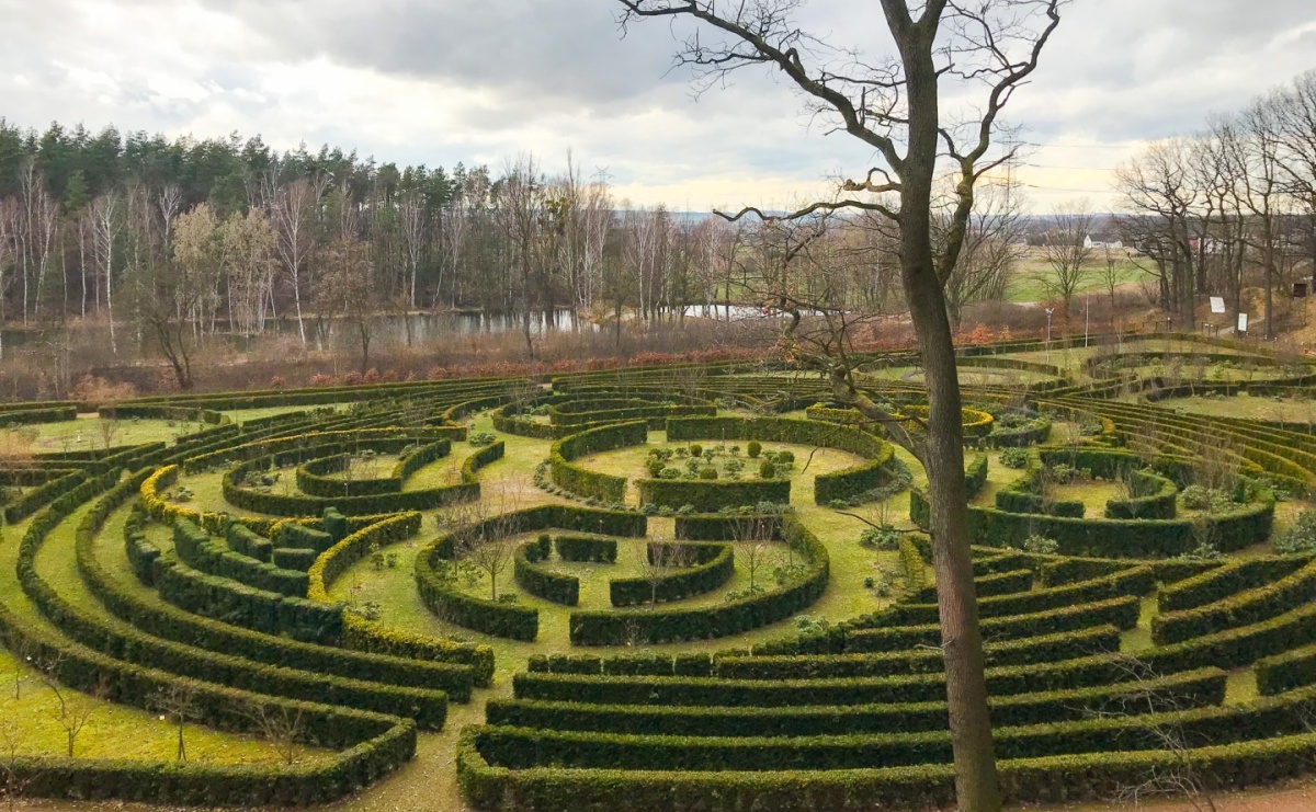 Arboretum Bramy Morawskiej planuje kolejną atrakcję w Zaczarowanym Ogrodzie - Serwis informacyjny z Raciborza - naszraciborz.pl