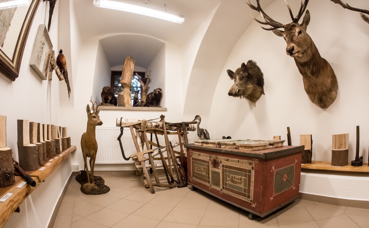 Inauguracja Akademii Leśnika na Zamku Piastowskim w Raciborzu [ZAPROSZENIE] - Serwis informacyjny z Raciborza - naszraciborz.pl