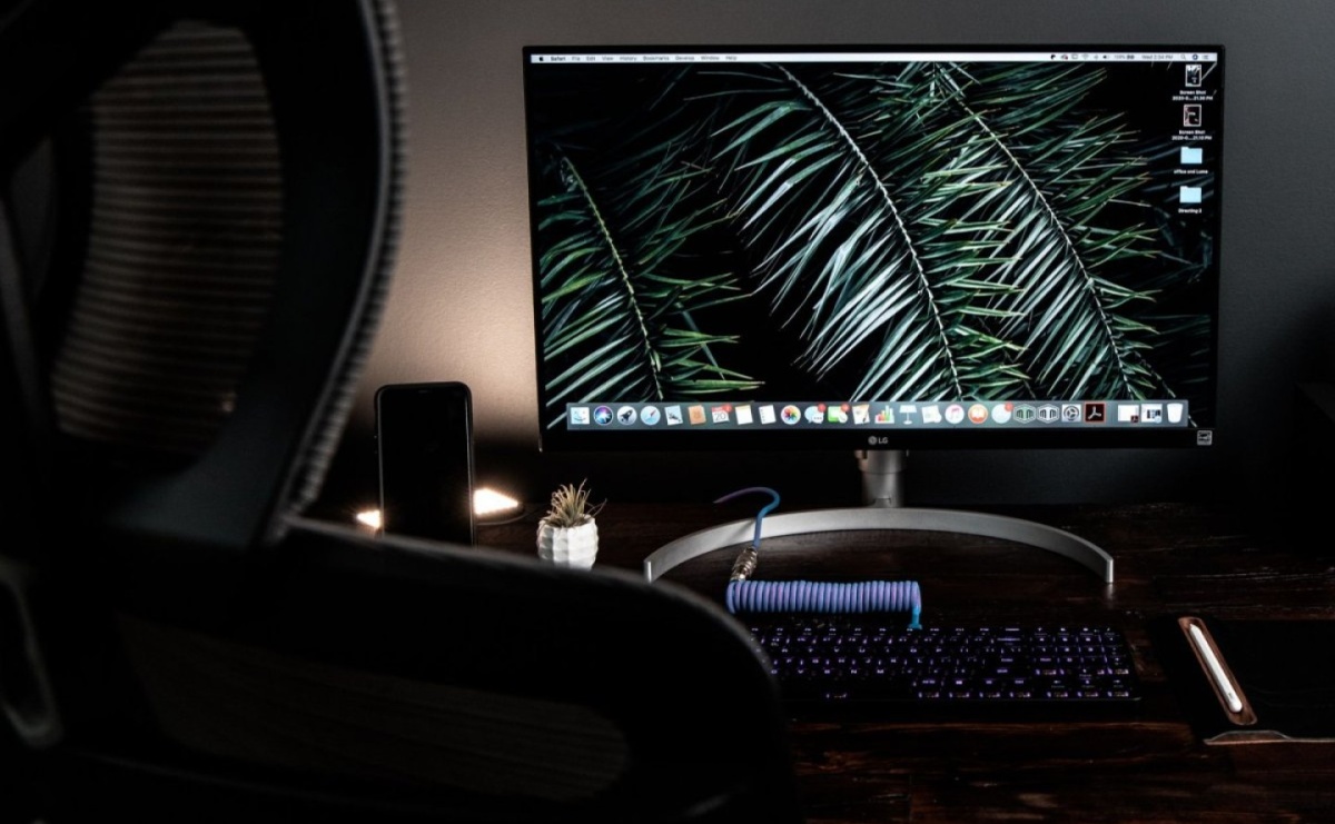 CBA zatrzymało dyrektorów Lasów Państwowych - Serwis informacyjny z Raciborza - naszraciborz.pl