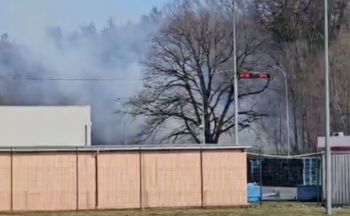 Pożar poszycia leśnego w Raciborzu i upadek z wysokości. Dwóch poszkodowanych [RAPORT 998] - Serwis informacyjny z Raciborza - naszraciborz.pl