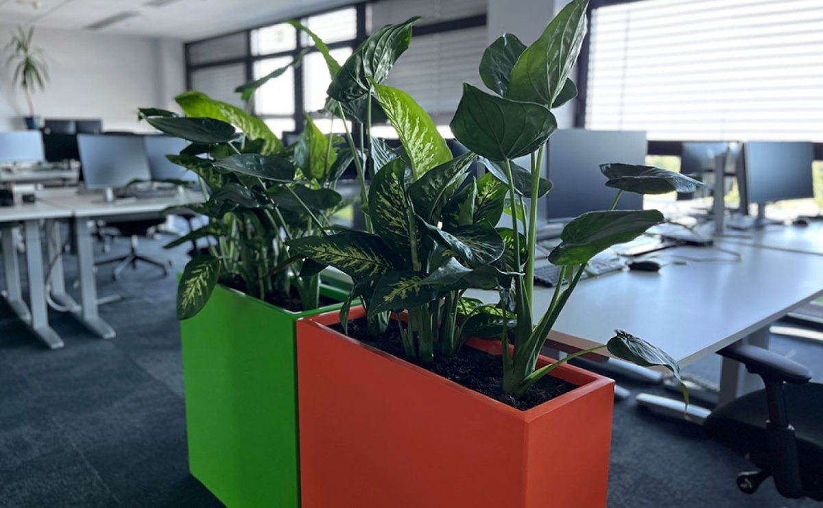 Dlaczego rośliny w biurze to istotny element strategii ESG? - Serwis informacyjny z Raciborza - naszraciborz.pl