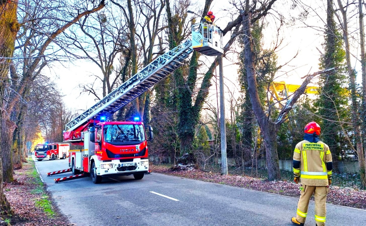 Złamane drzewo w Rudach. W akcji trzy zastępy straży - Serwis informacyjny z Raciborza - naszraciborz.pl