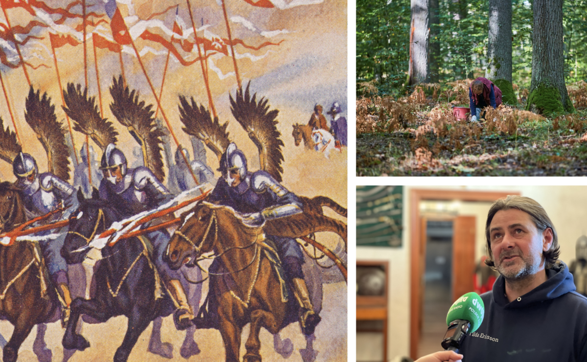 Ogniem i mieczem. Zamkowa niedziela z przyrodą i historią - Serwis informacyjny z Raciborza - naszraciborz.pl