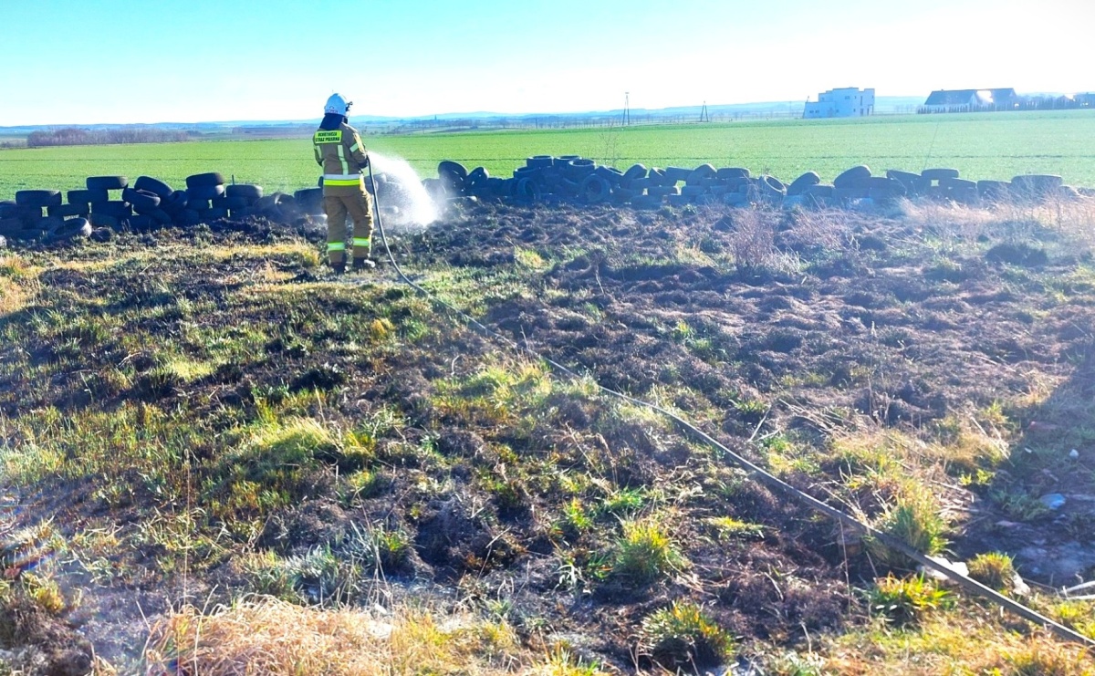 W Pietrowicach Wielkich paliły się nieużytki - Serwis informacyjny z Raciborza - naszraciborz.pl