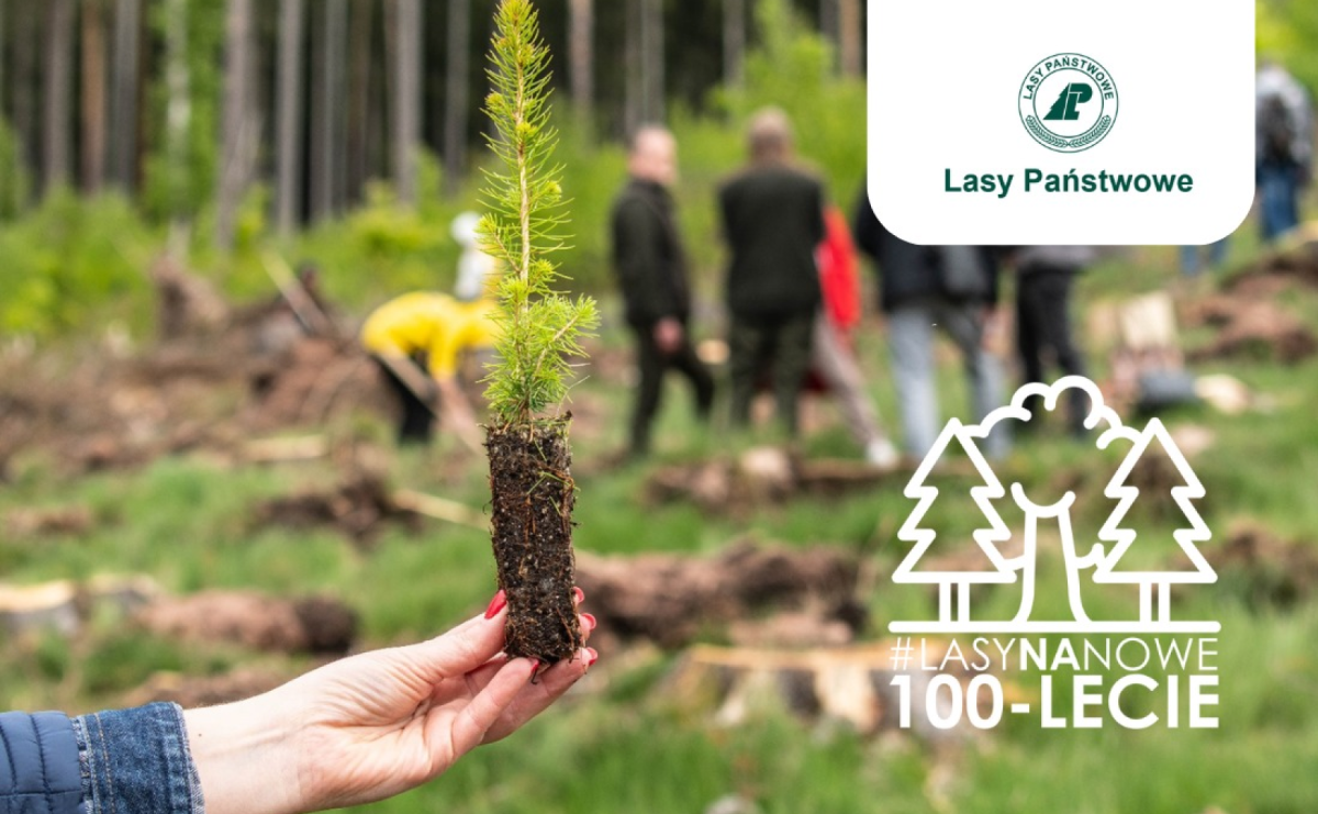 List do redakcji. Odpowiedź Lasów Państwowych - Serwis informacyjny z Raciborza - naszraciborz.pl