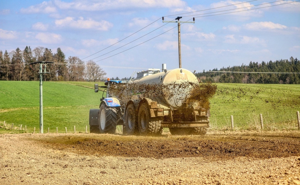 Nawozy do kukurydzy – jakie wybrać, aby zwiększyć plon i jakość upraw? - Serwis informacyjny z Raciborza - naszraciborz.pl