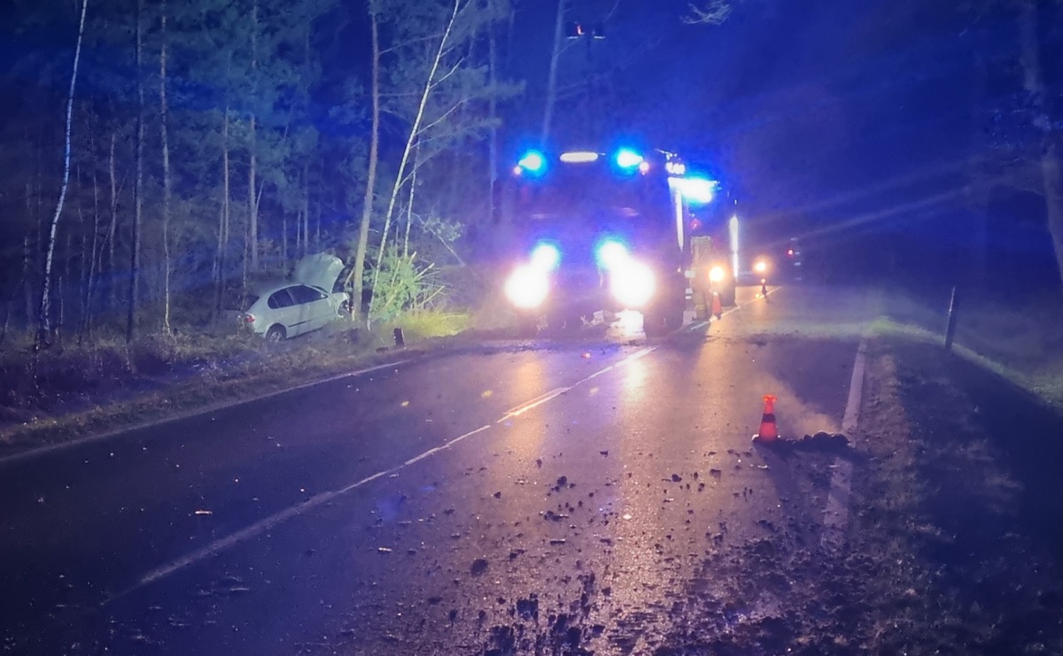 Zderzenie z jeleniem i zapach gazu. Strażacy interweniowali w Kuźni Raciborskiej, Raciborzu i Górkach Śląskich - Serwis informacyjny z Raciborza - naszraciborz.pl