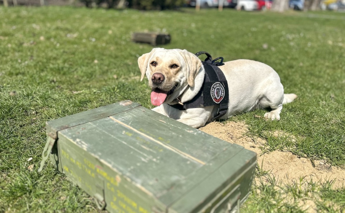 Spotkanie z Krajową Administracją Skarbową w Akademii Nauk Stosowanych w Raciborzu - Serwis informacyjny z Raciborza - naszraciborz.pl