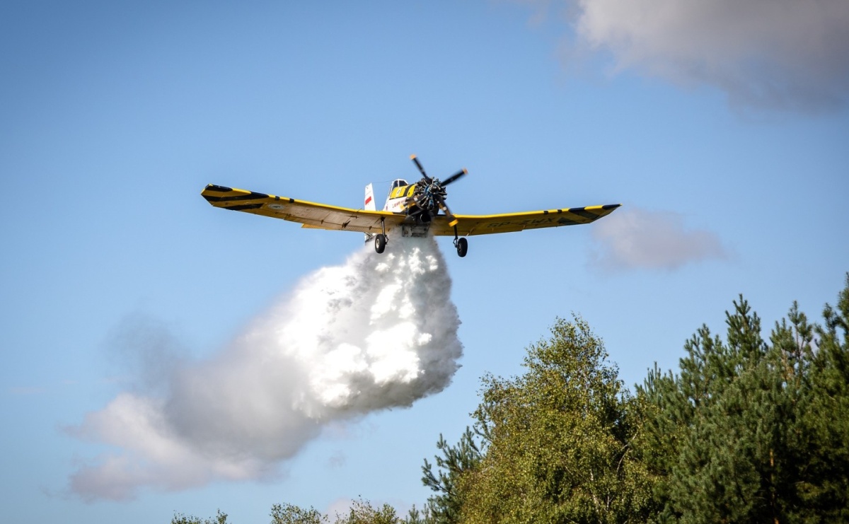Zamkowa Akademia Leśnika - jak chronić lasy przed pożarami - Serwis informacyjny z Raciborza - naszraciborz.pl