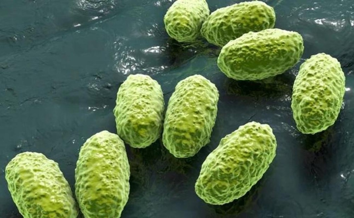 Lawinowy wzrost zachorowań na krztusiec. Sytuacja epidemiologiczna chorób zakaźnych w powiecie raciborskim - raport Sanepidu - Serwis informacyjny z Raciborza - naszraciborz.pl