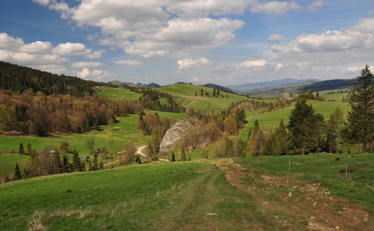Orinoko zaprasza w Pieniny: poznaj z nami siłę żywiołów! - Serwis informacyjny z Raciborza - naszraciborz.pl