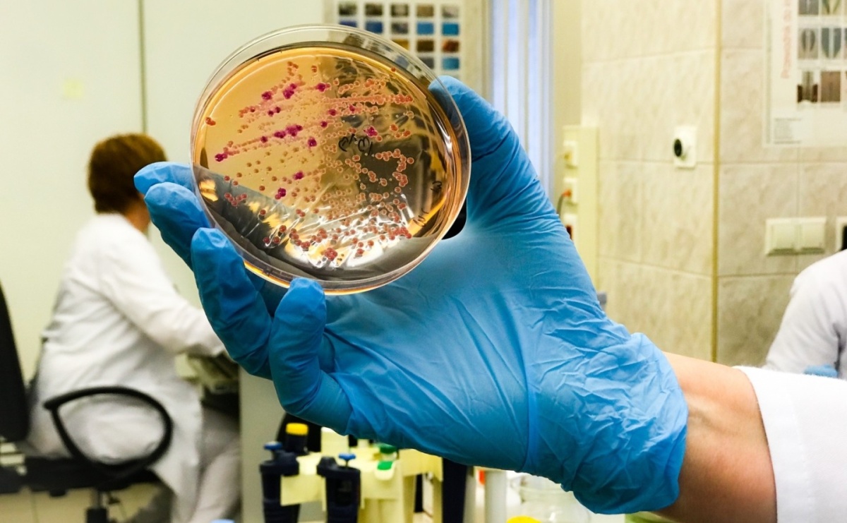 Mniej salmoneloz, więcej zakażeń wirusowych jelit w powiecie raciborskim w 2024 roku - Serwis informacyjny z Raciborza - naszraciborz.pl