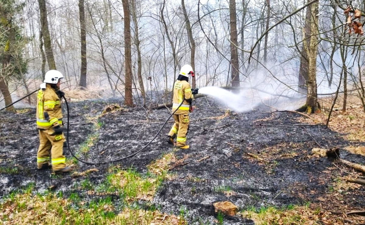 Podpalacz znów dał o sobie znać. Kolejne pożary w gminie Kuźnia Raciborska [FOTO] - Serwis informacyjny z Raciborza - naszraciborz.pl