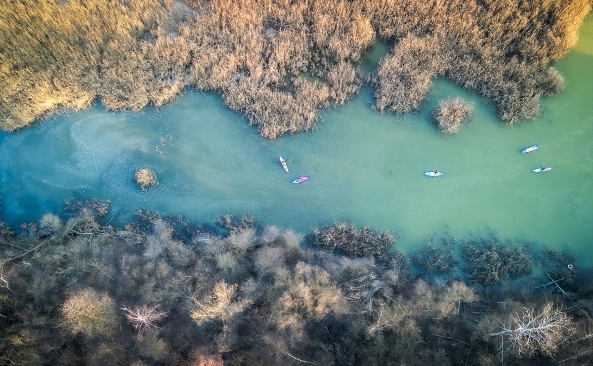 Wiosenny spacer wodami Raciborskich Mazur - Serwis informacyjny z Raciborza - naszraciborz.pl