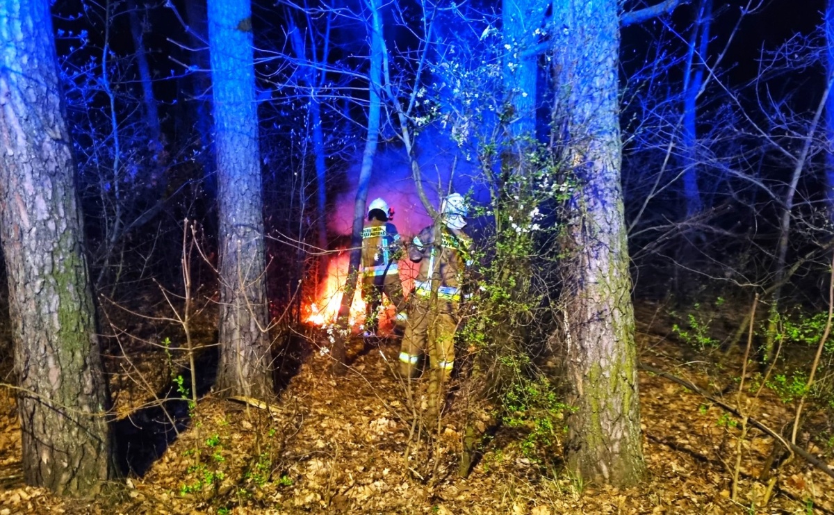 Zapach gazu, pożar ściółki i otwarcia mieszkań. Weekend strażaków [RAPORT 998] - Serwis informacyjny z Raciborza - naszraciborz.pl