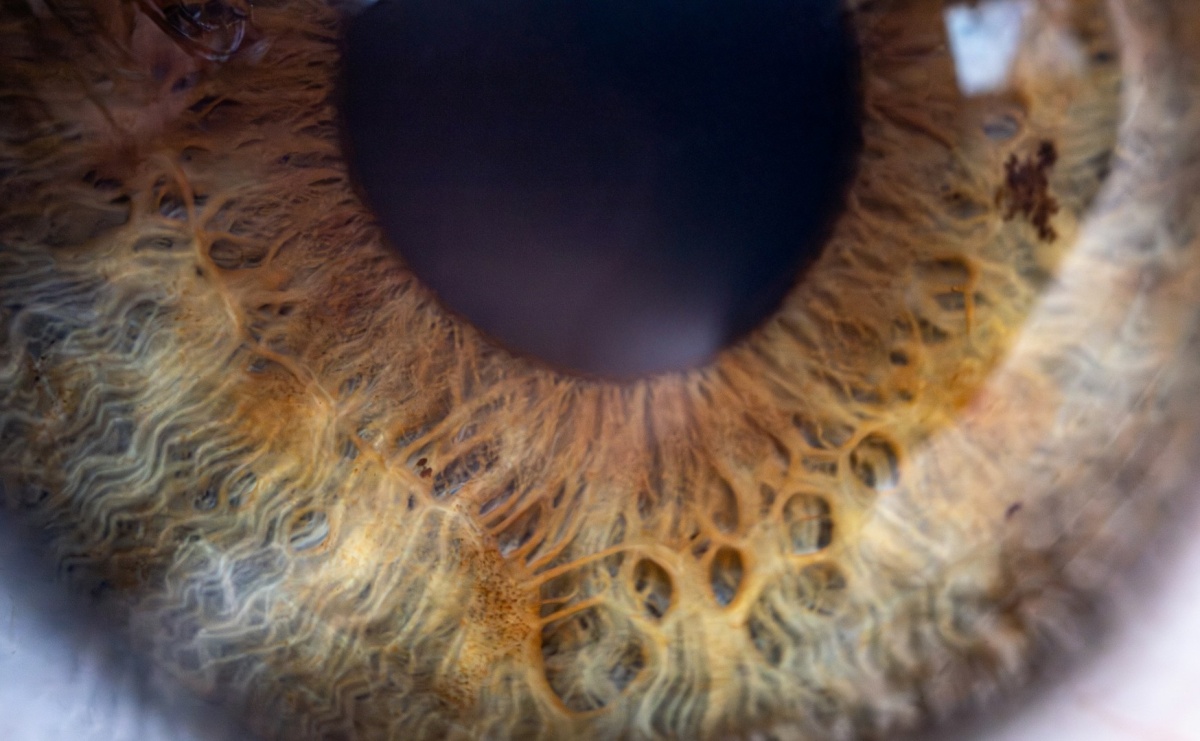 Płyny AOsept – dlaczego warto je stosować? - Serwis informacyjny z Raciborza - naszraciborz.pl