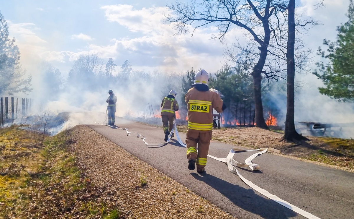 Podpalacz z Kuźni Raciborskiej w rękach policji  - Serwis informacyjny z Raciborza - naszraciborz.pl