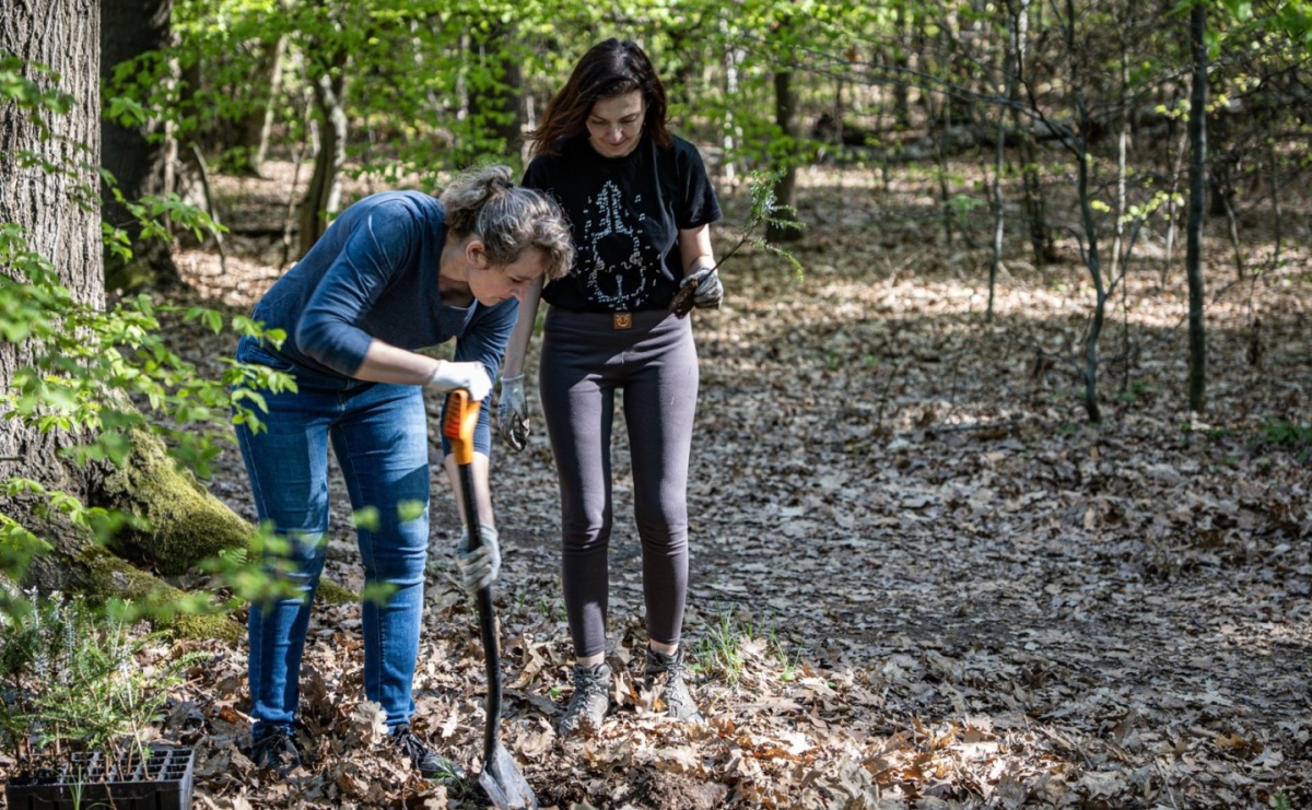 1350 nowych sadzonek w lesie Obora dzięki firmie Posadzimy.pl - Serwis informacyjny z Raciborza - naszraciborz.pl
