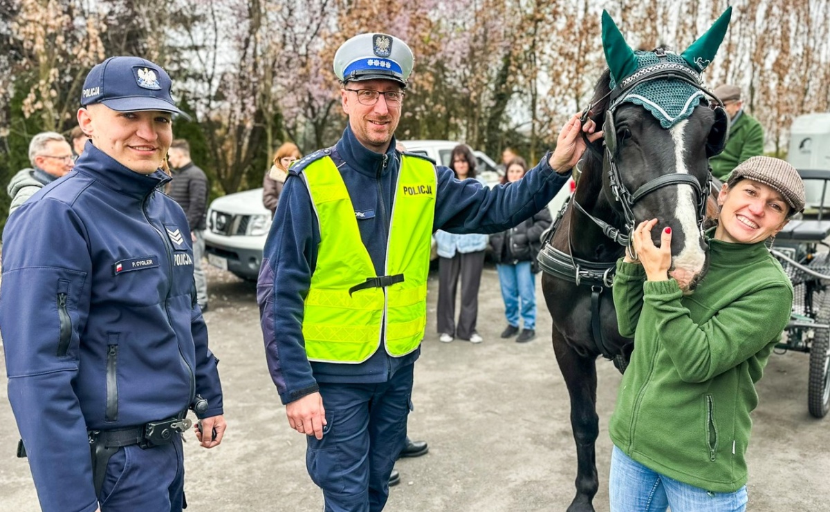Seminarium o obecności koni w przestrzeni publicznej: bezpieczeństwo, służby mundurowe i jeździectwo - Serwis informacyjny z Raciborza - naszraciborz.pl