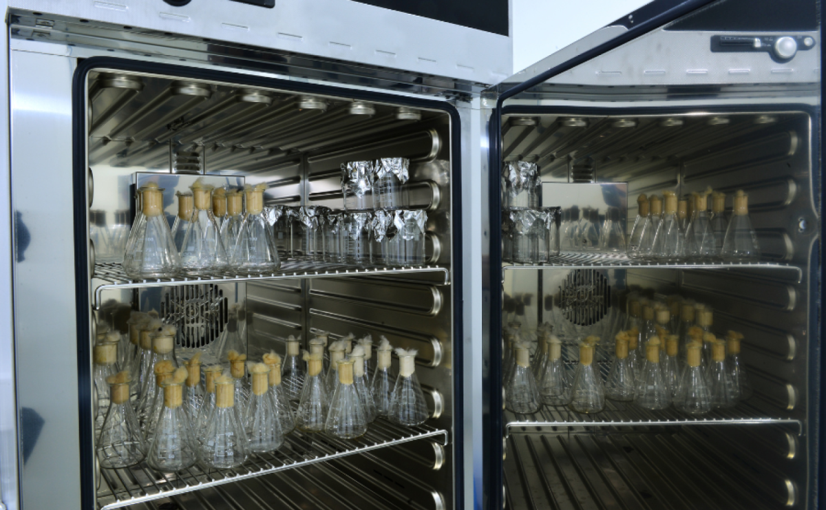 Automatyzacja procesów termicznych – nowoczesne rozwiązania - Serwis informacyjny z Raciborza - naszraciborz.pl