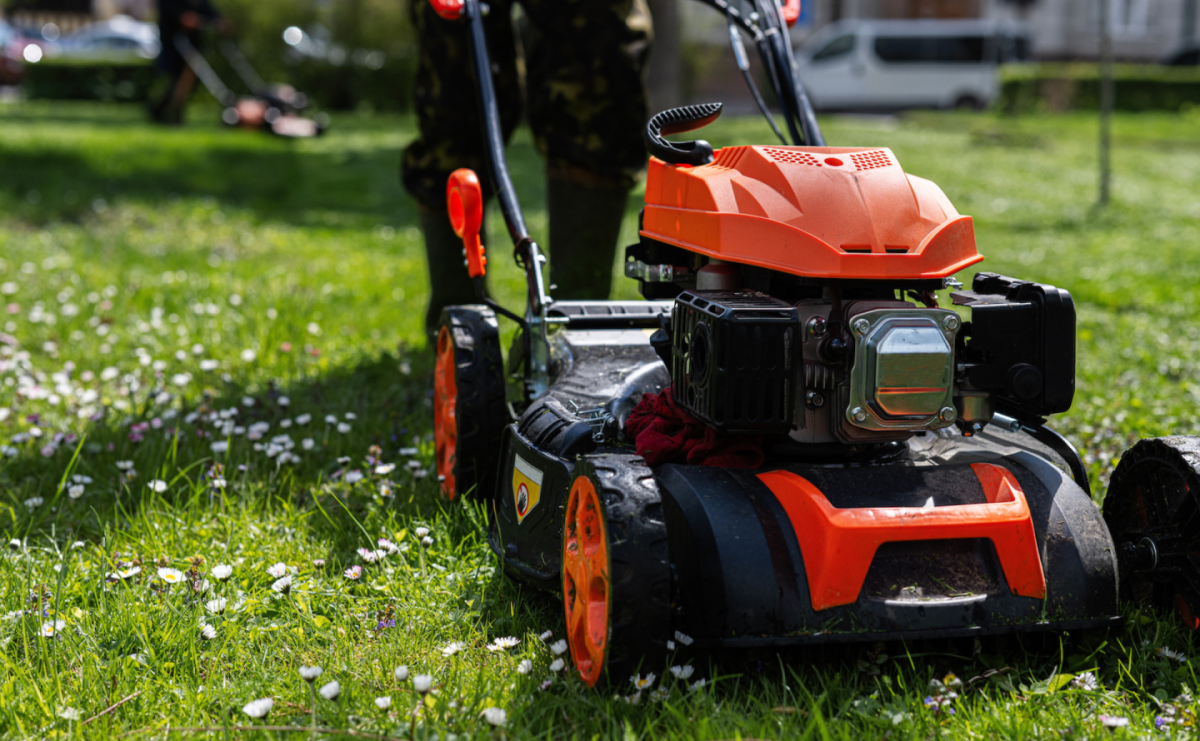 Jaka moc kosiarki spalinowej? Wskazówki i porady - Serwis informacyjny z Raciborza - naszraciborz.pl