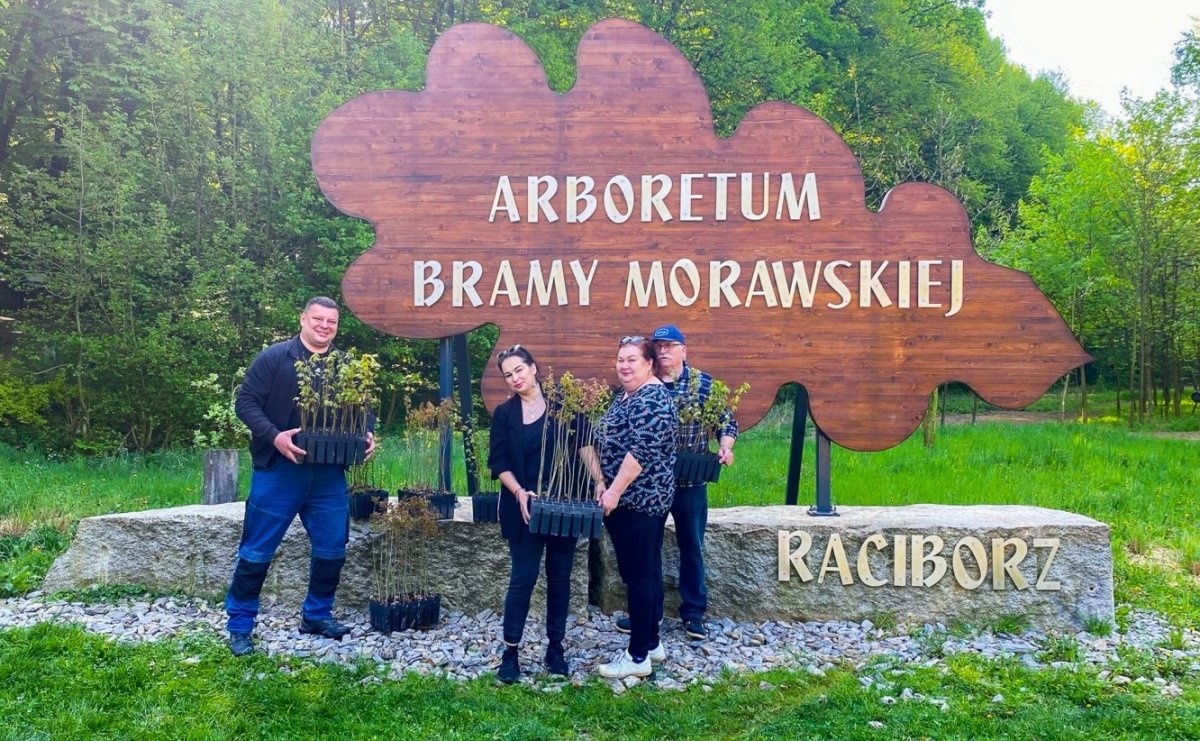 Arboretum odmienione, czyli jeszcze więcej zieleni w naszej leśnej enklawie - Serwis informacyjny z Raciborza - naszraciborz.pl