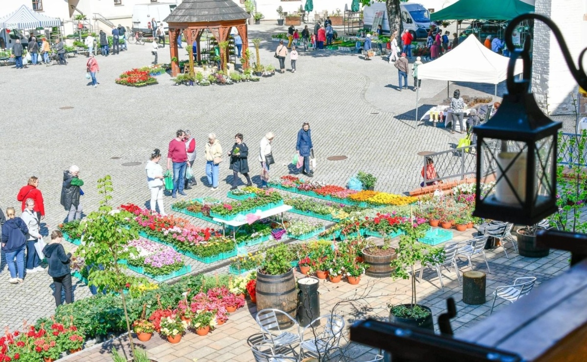 Co? Gdzie? Kiedy? Nawigator weekendowy - Serwis informacyjny z Raciborza - naszraciborz.pl