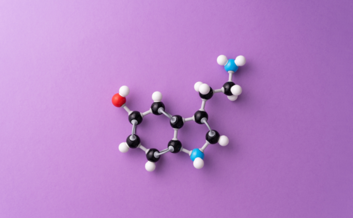 GABA – cichy bohater naszego mózgu - Serwis informacyjny z Raciborza - naszraciborz.pl