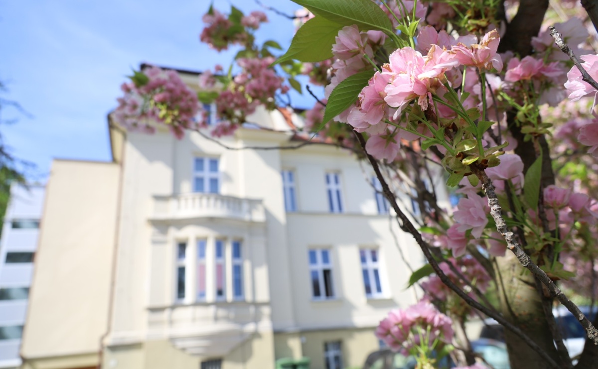2 maja odwiedź raciborską bibliotekę - Serwis informacyjny z Raciborza - naszraciborz.pl