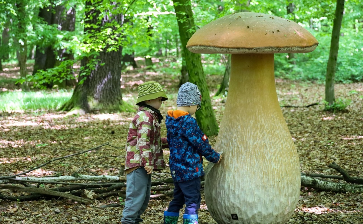 Klub Ojca w Arboretum - Serwis informacyjny z Raciborza - naszraciborz.pl