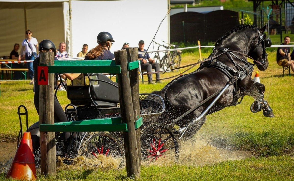 Konna majówka wróciła do Kornic po sześciu latach. Były emocje i rywalizacja [FOTO i WIDEO] - Serwis informacyjny z Raciborza - naszraciborz.pl