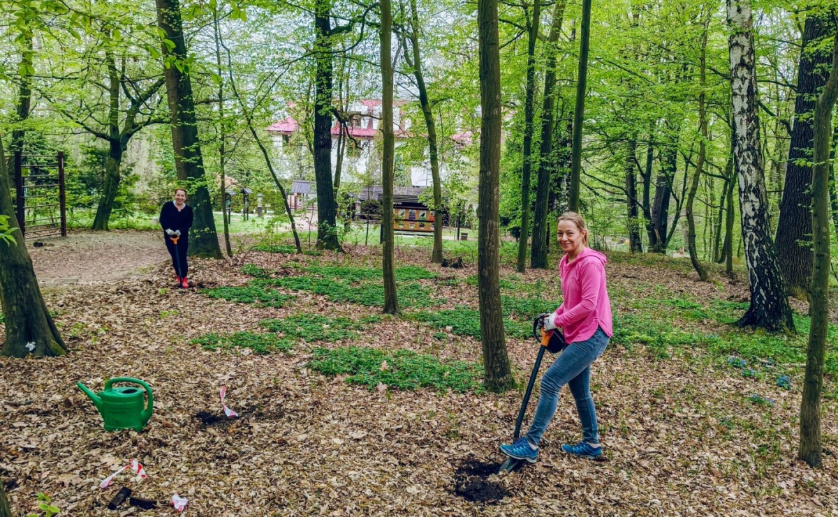Nowe nasadzenia w Arboretum Bramy Morawskiej. Akcja trwa - Serwis informacyjny z Raciborza - naszraciborz.pl