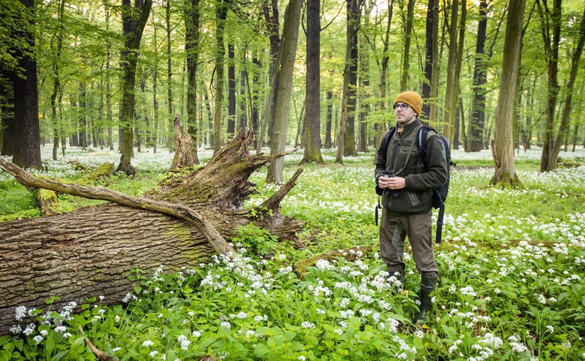 Spacer ornitologiczny po Raciborzu. Przyrodnicza wyprawa z przewodnikiem już 24 maja - Serwis informacyjny z Raciborza - naszraciborz.pl