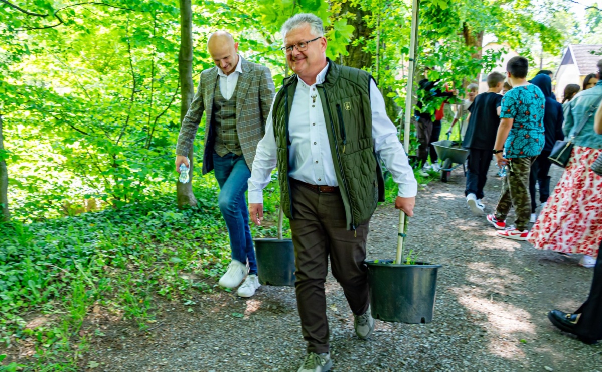 Wspólne Drzewo – Wspólna Przyszłość: Zielona Akcja Gminy Krzyżanowice, Meander Banku i Szkoły w Tworkowie - Serwis informacyjny z Raciborza - naszraciborz.pl