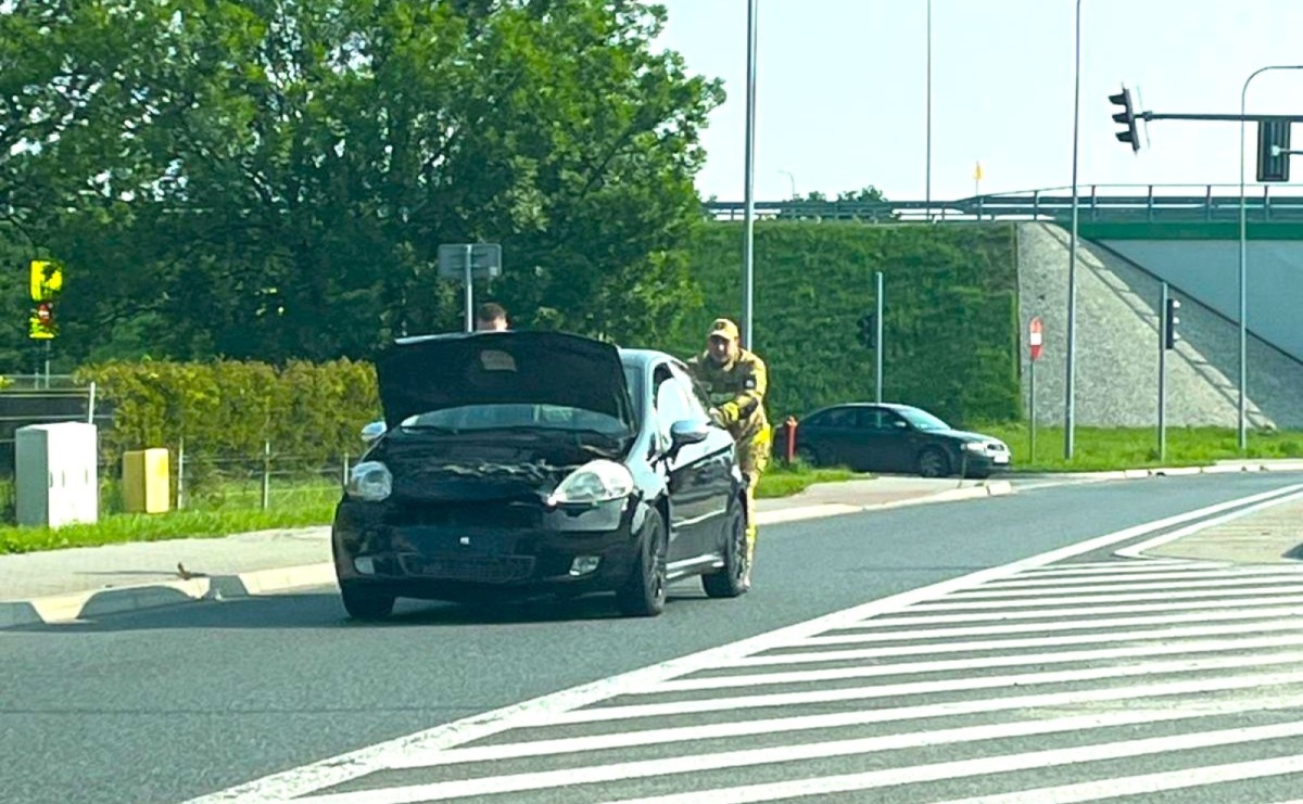 Kolizja na Rudzkiej, rój pszczół i plama na jezdni [RAPORT 998] - Serwis informacyjny z Raciborza - naszraciborz.pl