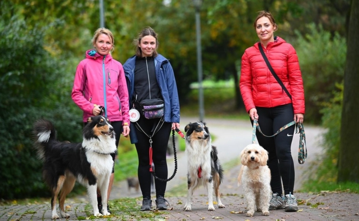 Spaceruj. Biegaj. Pomagaj! Dogtrekking o Puchar Krainy Górnej Odry w Nędzy - Serwis informacyjny z Raciborza - naszraciborz.pl