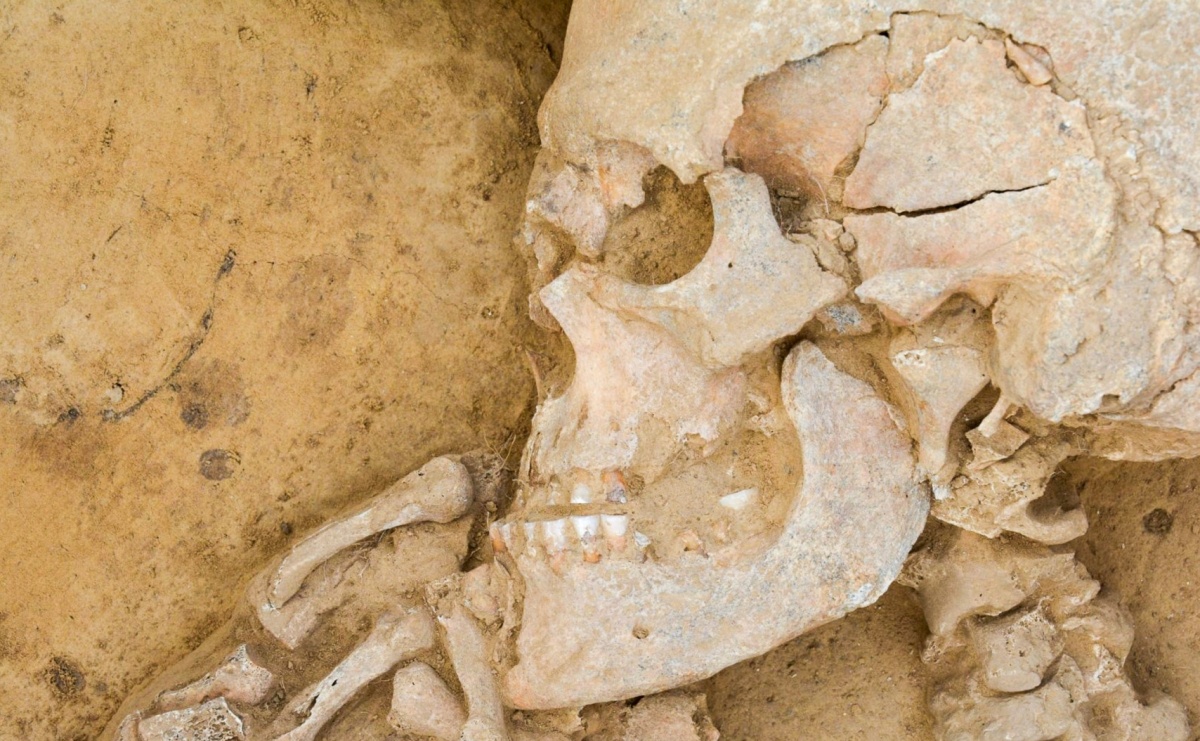 Festiwal Górnej Odry 2025. O tajemnicach archeologii w Kornicach i na Zamku Piastowskim - Serwis informacyjny z Raciborza - naszraciborz.pl