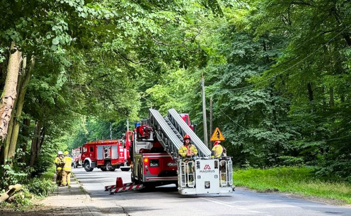 Interwencje służb ratowniczych w powiecie – 26 czerwca 2025 - Serwis informacyjny z Raciborza - naszraciborz.pl
