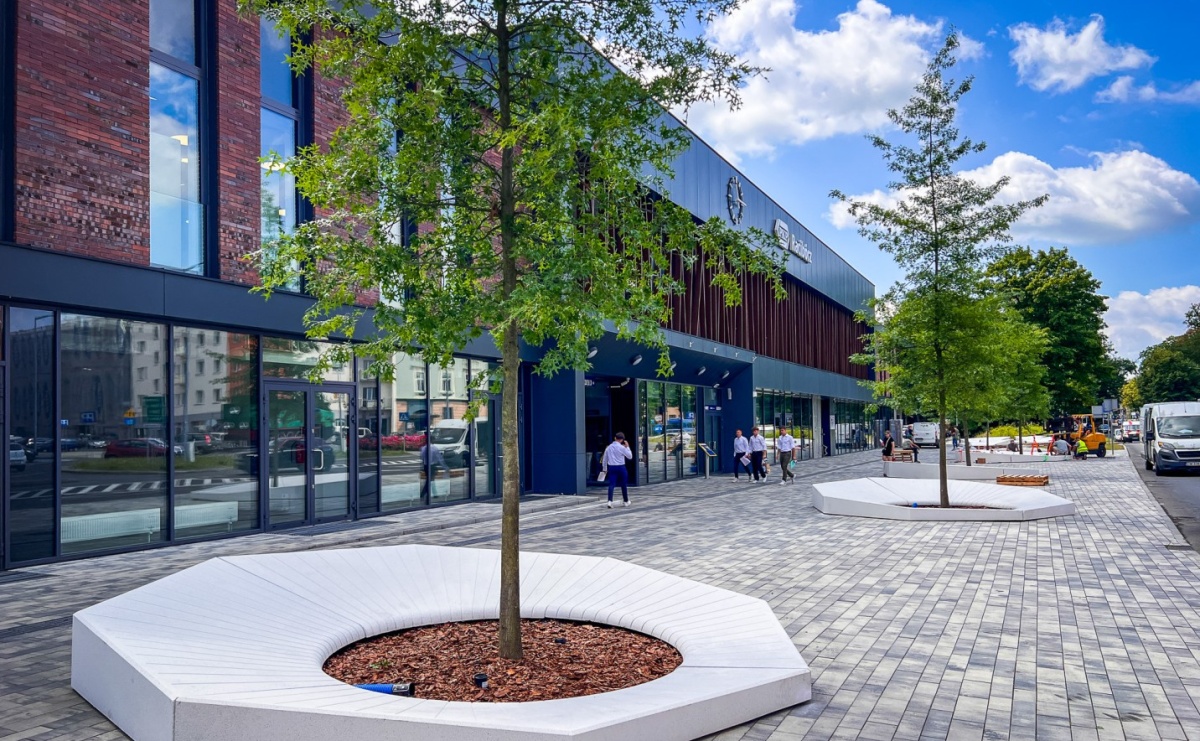 Nowe donice przed dworcem PKP w Raciborzu już gotowe. Zrealizowano projekt za blisko 300 tys. zł - Serwis informacyjny z Raciborza - naszraciborz.pl