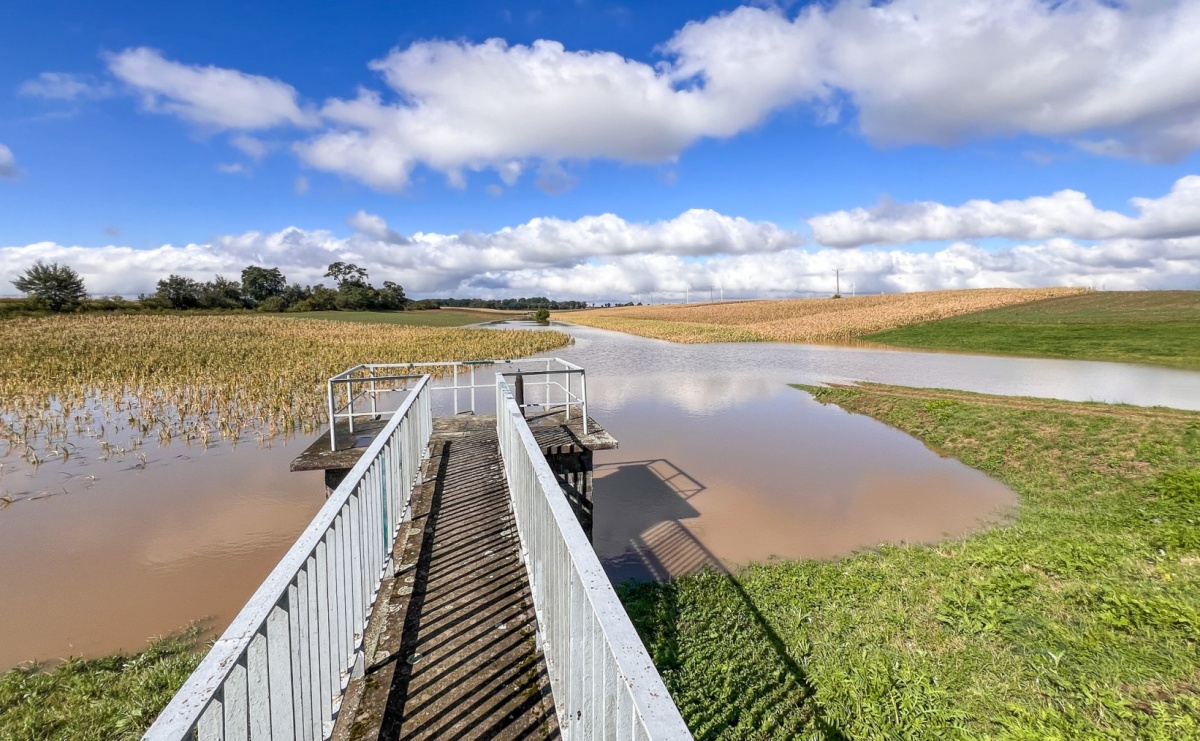 Racibórz szuka wykonawcy do konserwacji rowów i zbiornika przeciwpowodziowego - Serwis informacyjny z Raciborza - naszraciborz.pl